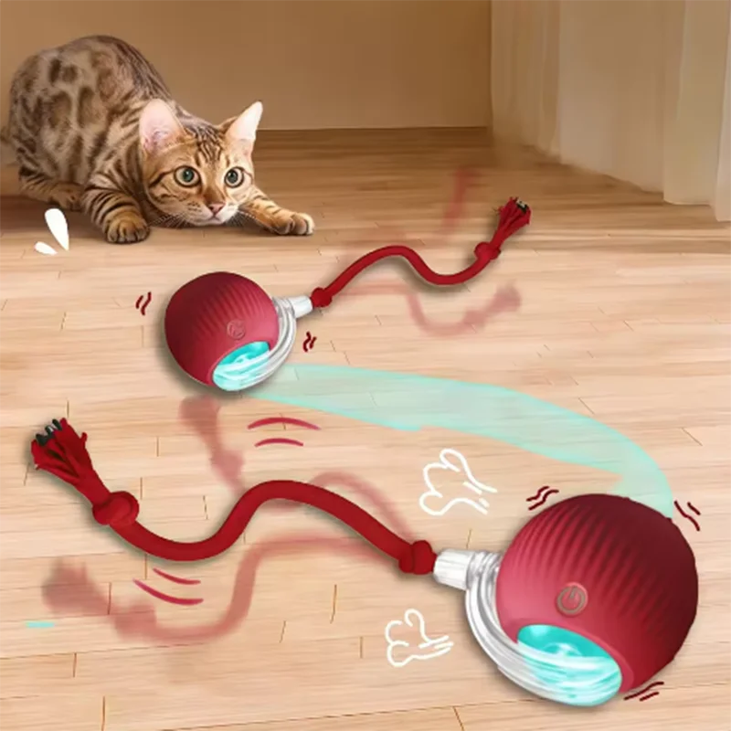 Crazy Ball — Self-Moving Interactive Cat Toy