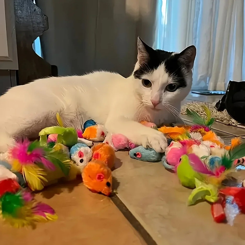 Cat Toys Variety Pack