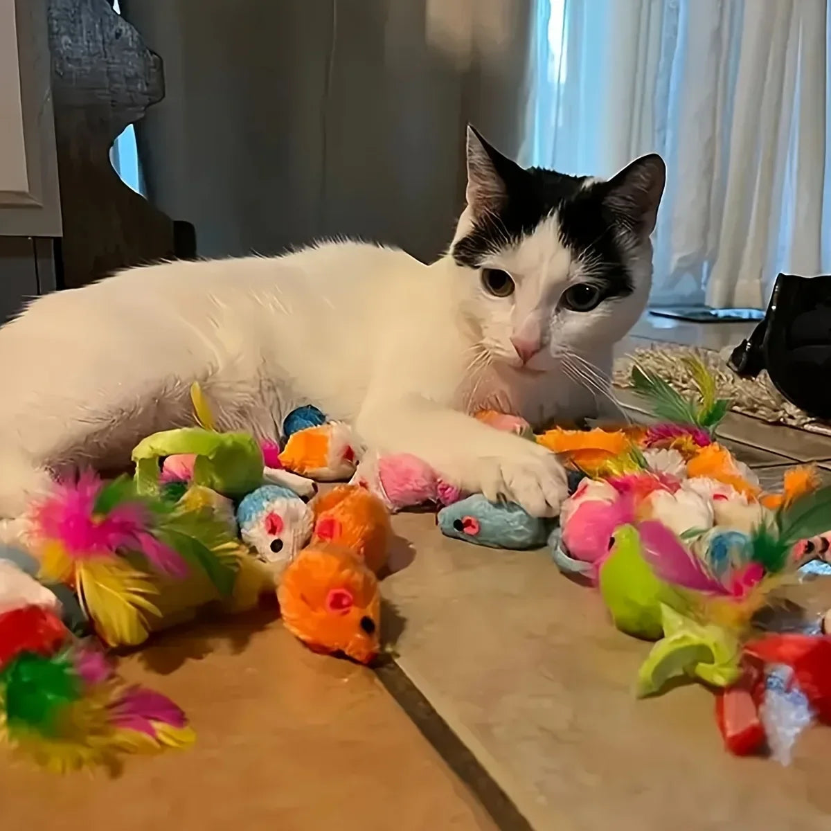 Cat Toys Variety Pack